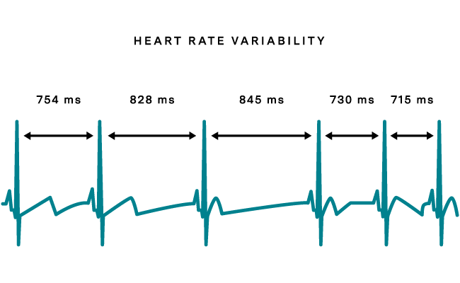 Heart Rate Variability (HRV)