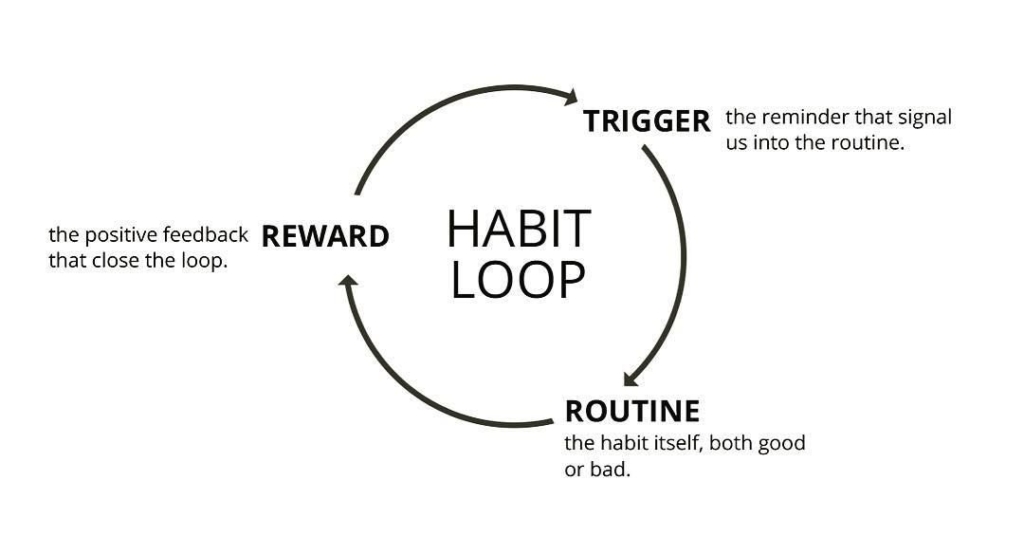 How to Build Your Lief Habit